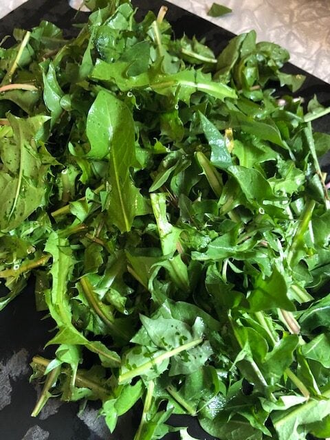 Eat Your Delicious Dandelions