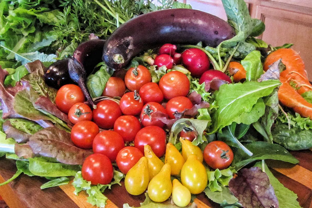 The Diet that Helps You Live Longer