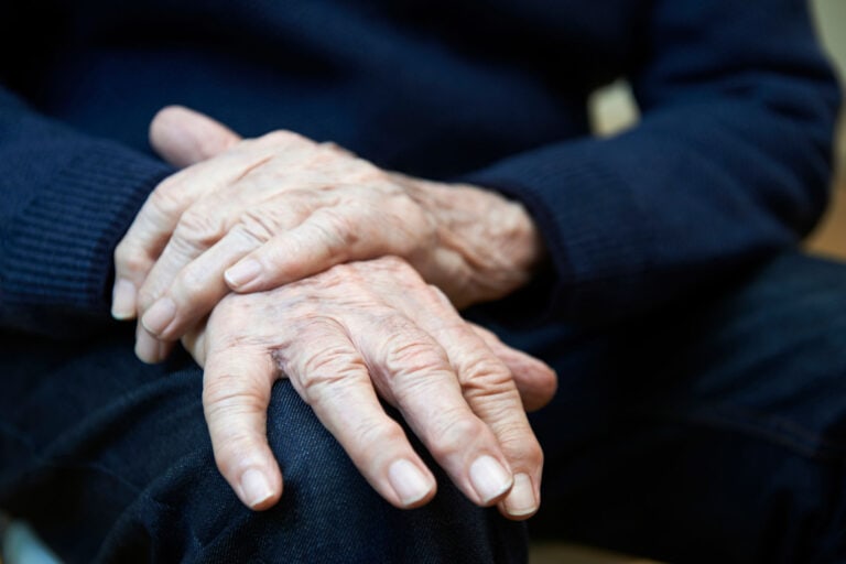 pine bark extract (Pycnogenol) improves symptoms of Parkinson's disease