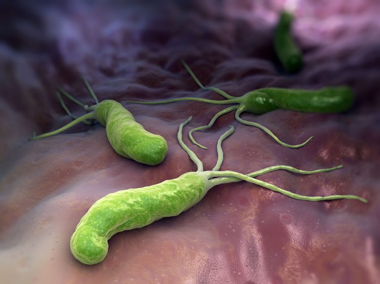 Eradicating H. Pylori with a Probiotic.