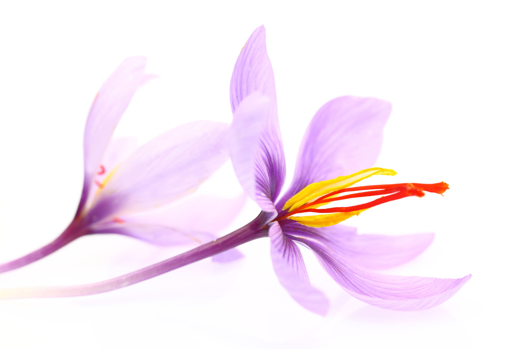 This Important Study Shows Saffron Helps People With Subclinical Depression.