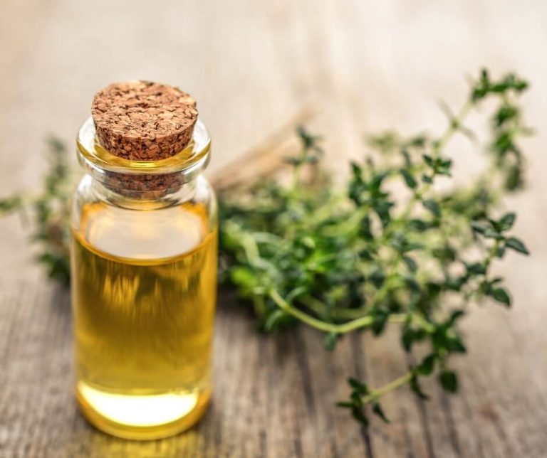 Can Aromatherapy With Thyme Essential Oil Help People With COVID?