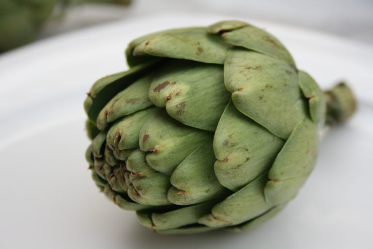 Artichoke Extract Helps Non-Alcoholic Fatty Liver Disease