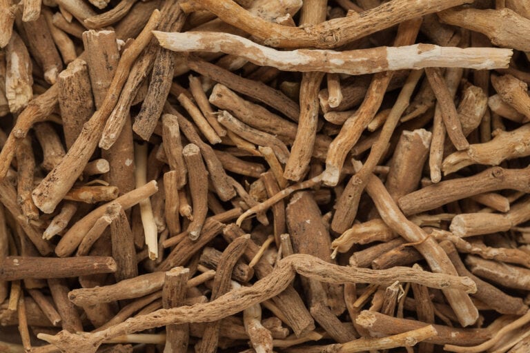 ashwagandha helps protect you from COVID-19