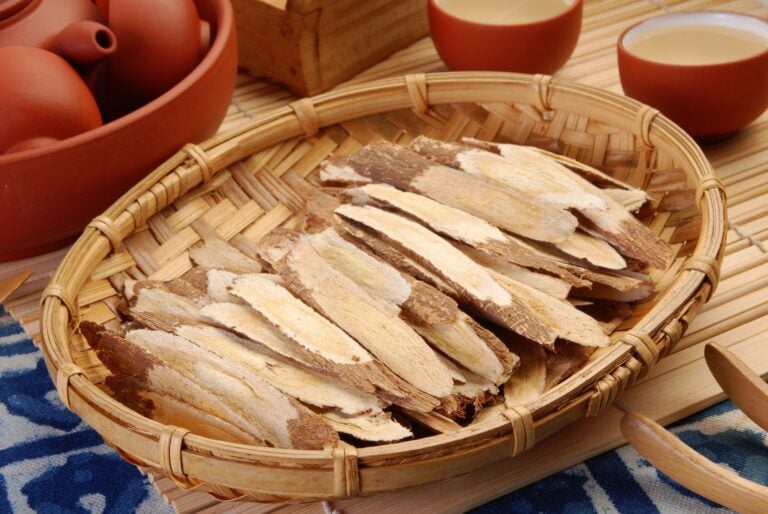 astragalus improves efficacy of chemotherapy while reducing its side effects