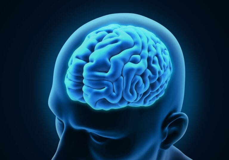 bacopa improves memory in people with Alzheimer's
