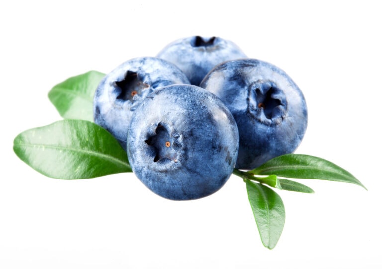 blueberry improves cognition in middle age adults