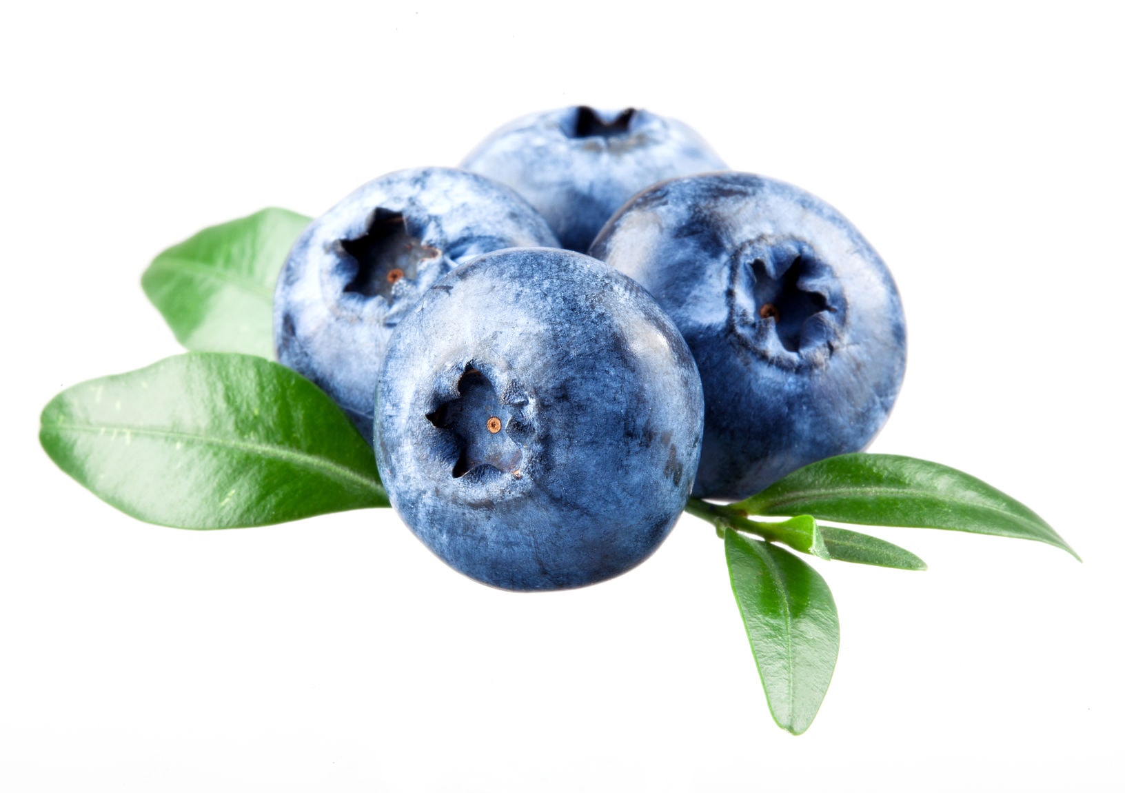 blueberry improves memory and cognition in children and adults