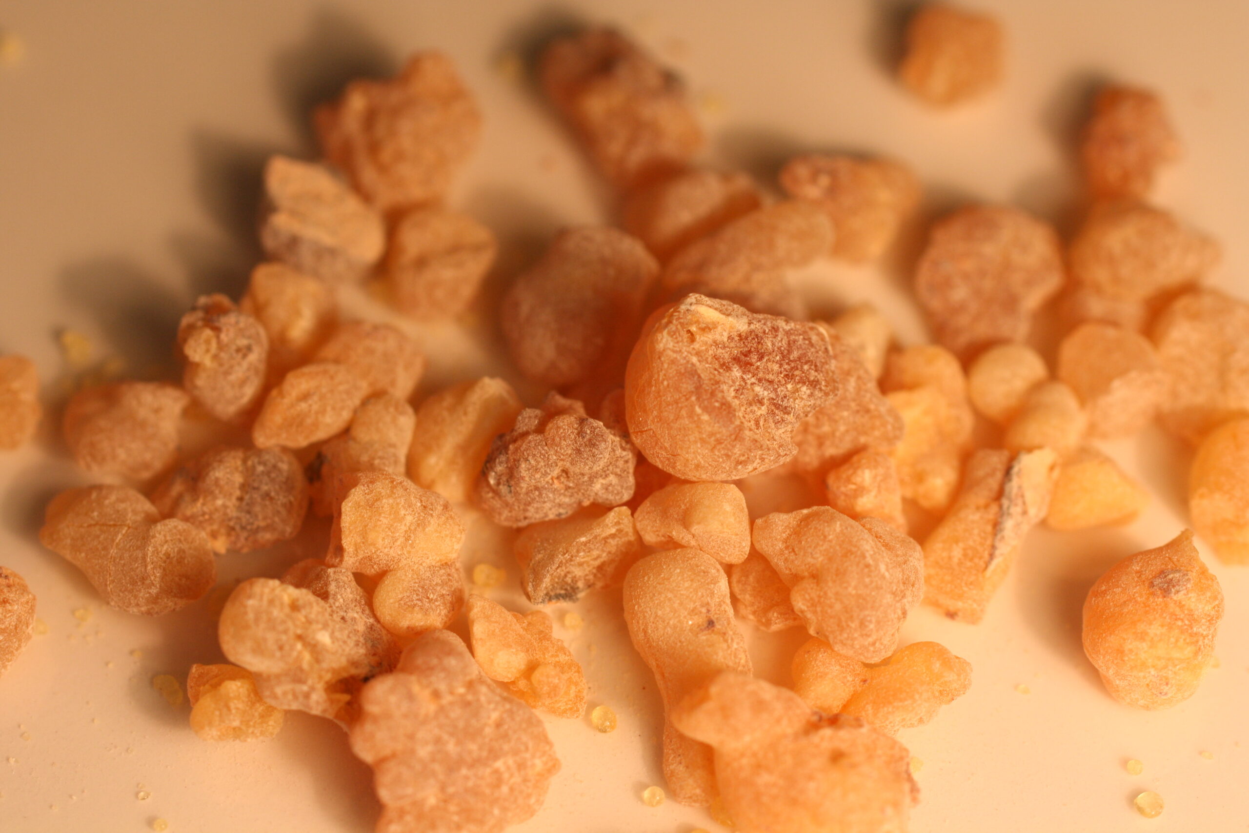 photo by Ted Snider boswellia soy combination improves symptoms of colitis