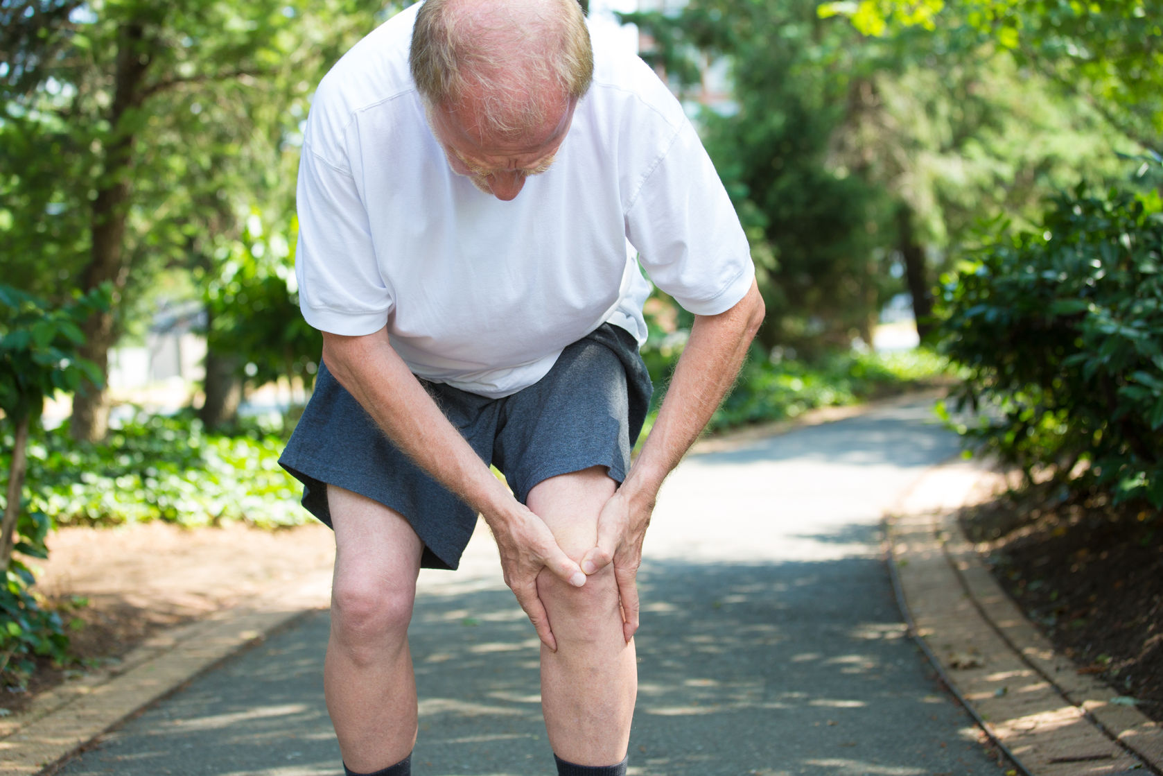 This Extraordinary Study Promises Reversal of Osteoarthritis & Relief with Two Herb Combo