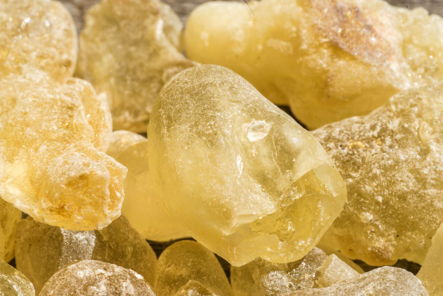 The Evidence that Boswellia Helps Osteoarthritis Keeps Piling Up