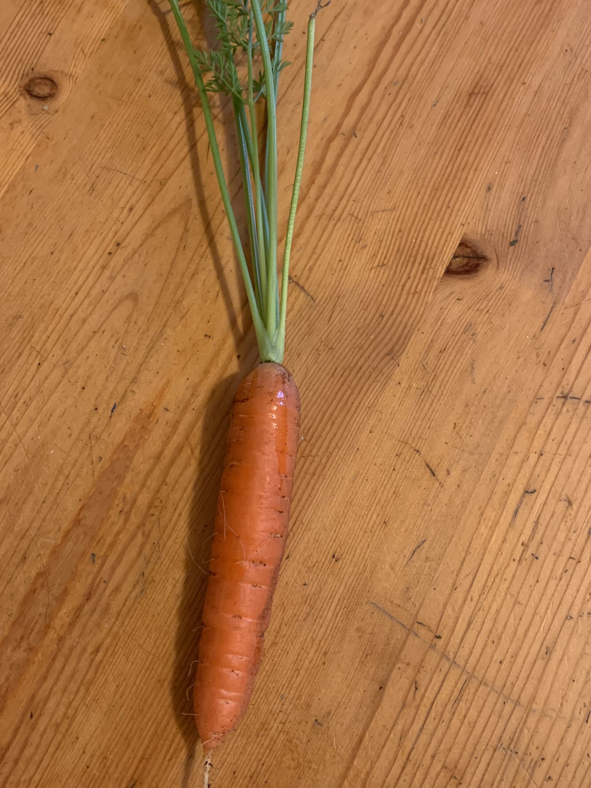 Can a Carrot Prevent Alzheimer’s?