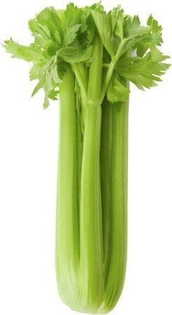 celery seed extract lowers blood pressure and cholesterol