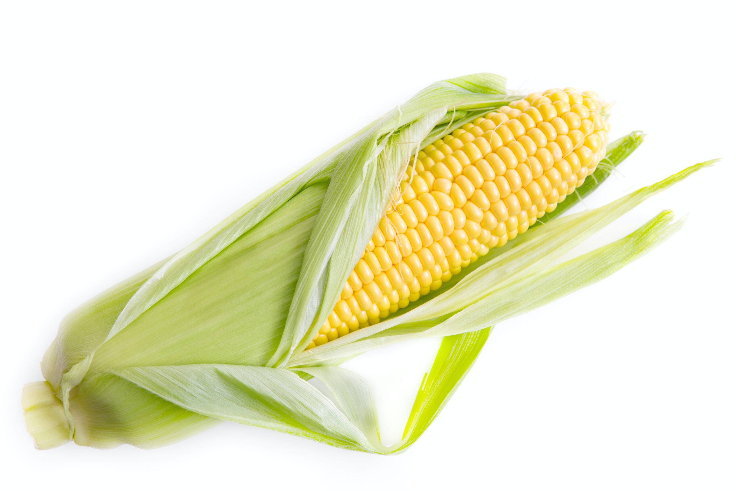 corn leaf extract improves insomnia