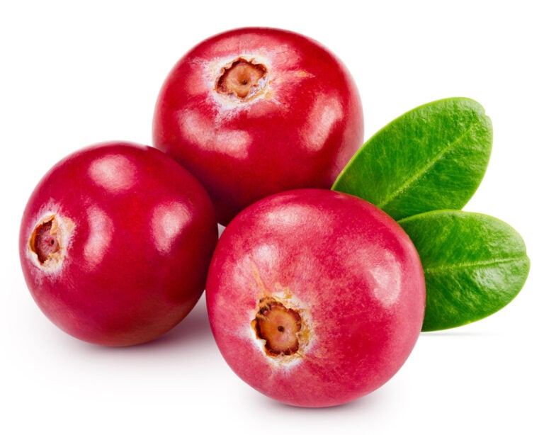 meta-analysis confirms cranberry prevents urinary tract infections