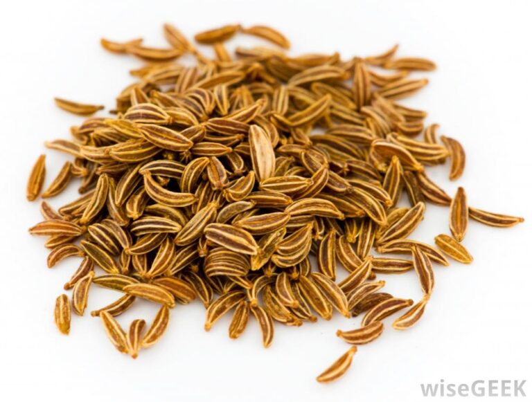 cumin helps cholesterol problems and obesity