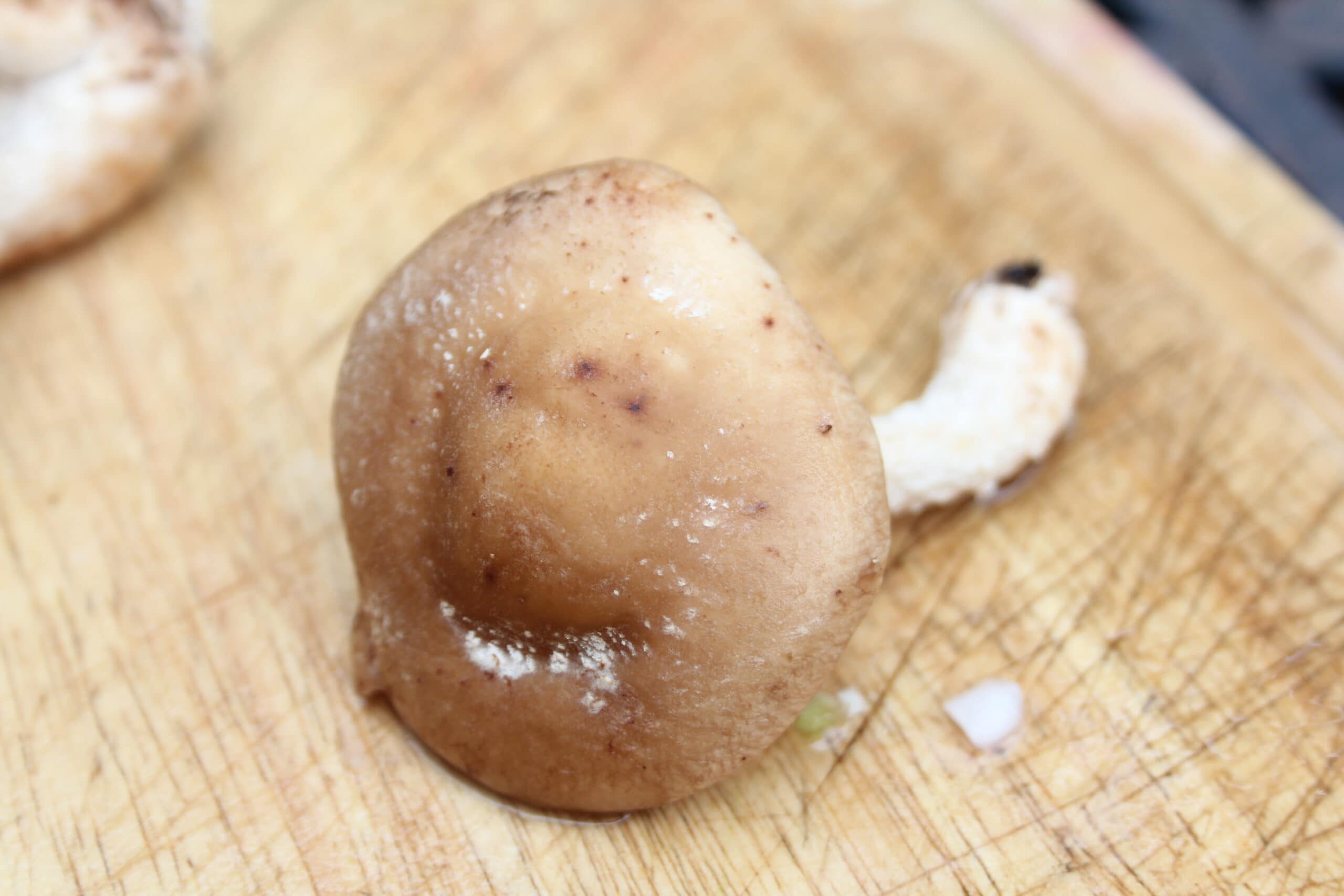 eating mushrooms prevents cancer