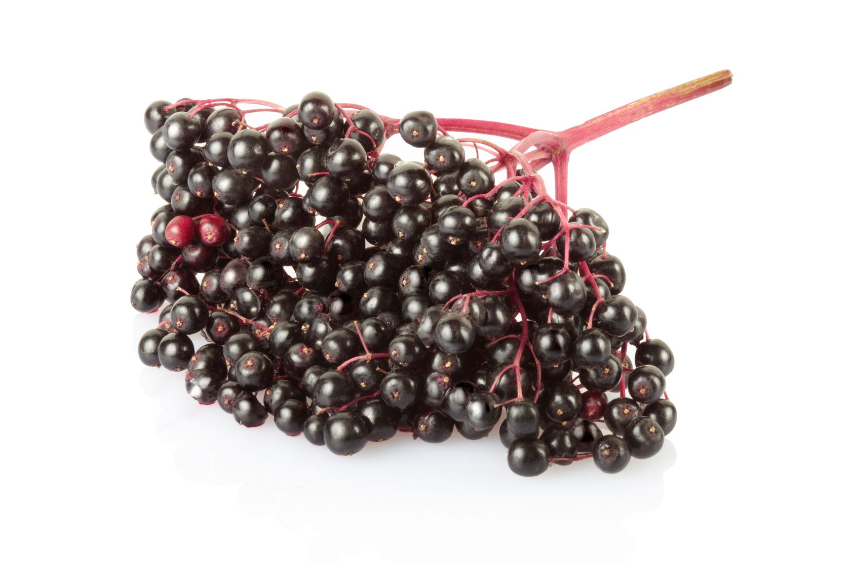 elderberry reduces symptom severity and duration of acute respiratory infections like cold and flu