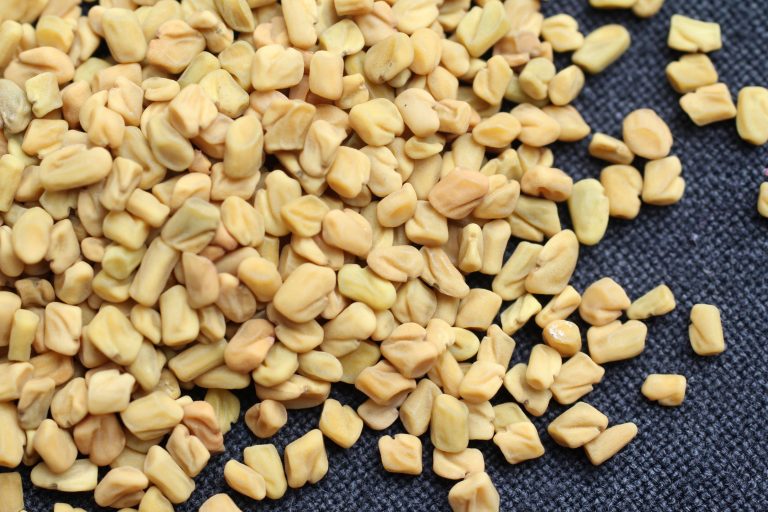 For Menopausal Women, a Herb that Builds Your Bones