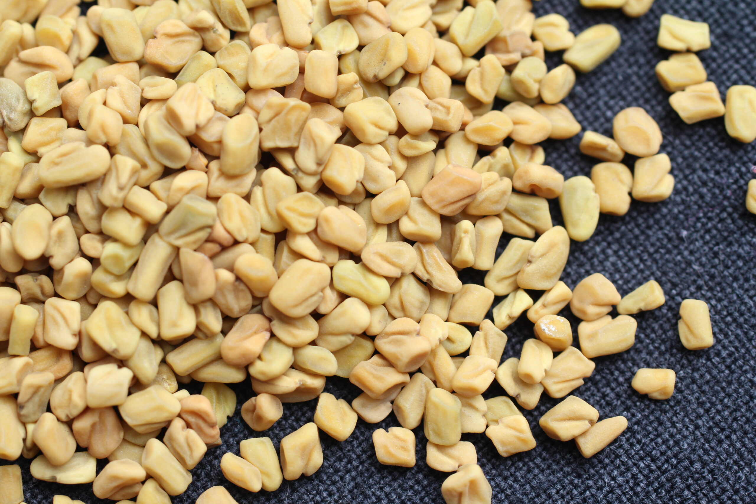 Fenugreek’s Powerful Antidiabetic Effect
