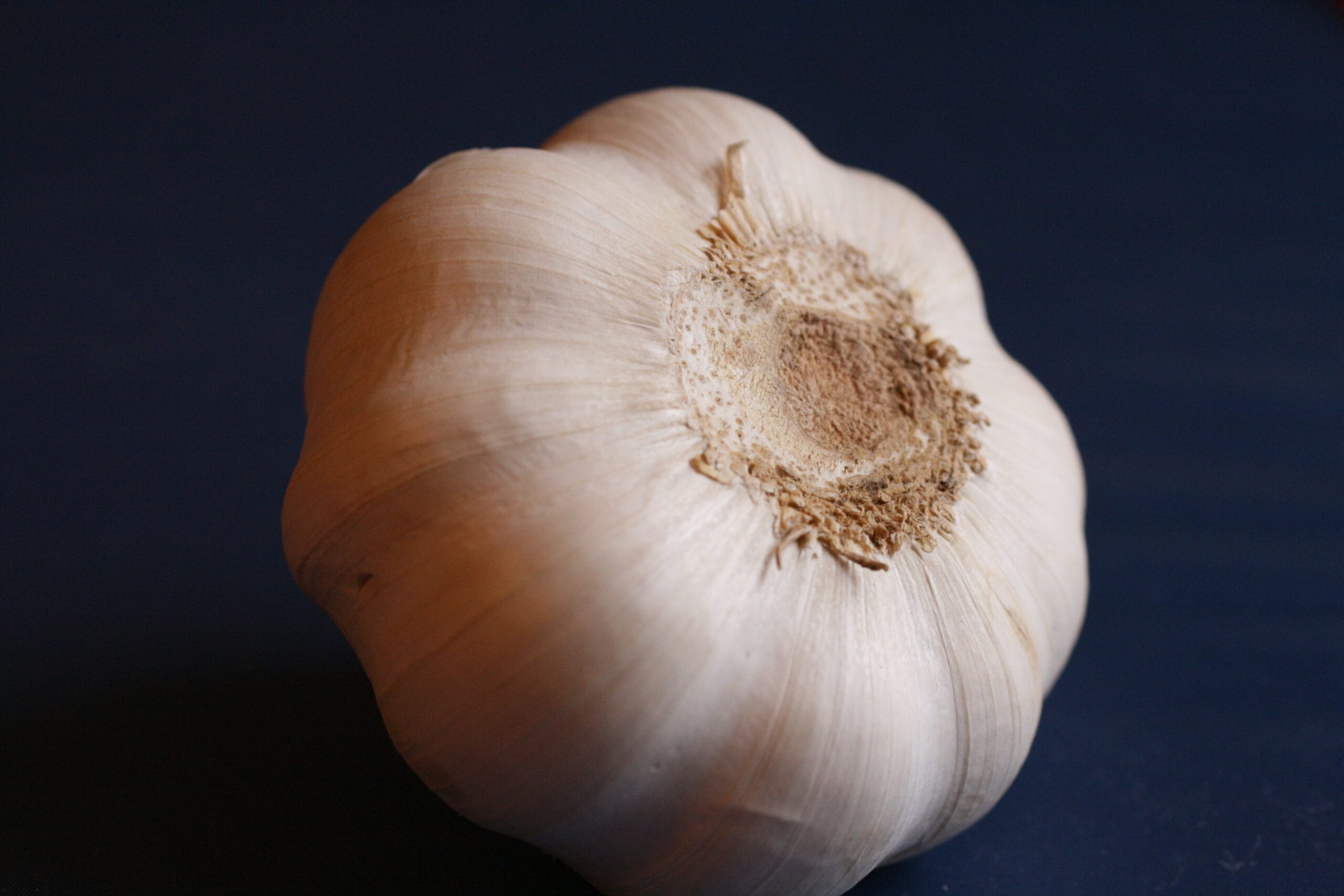 photo by Ted Snider garlic slows progression of calcified atherosclerotic lesions and atherosclerosis