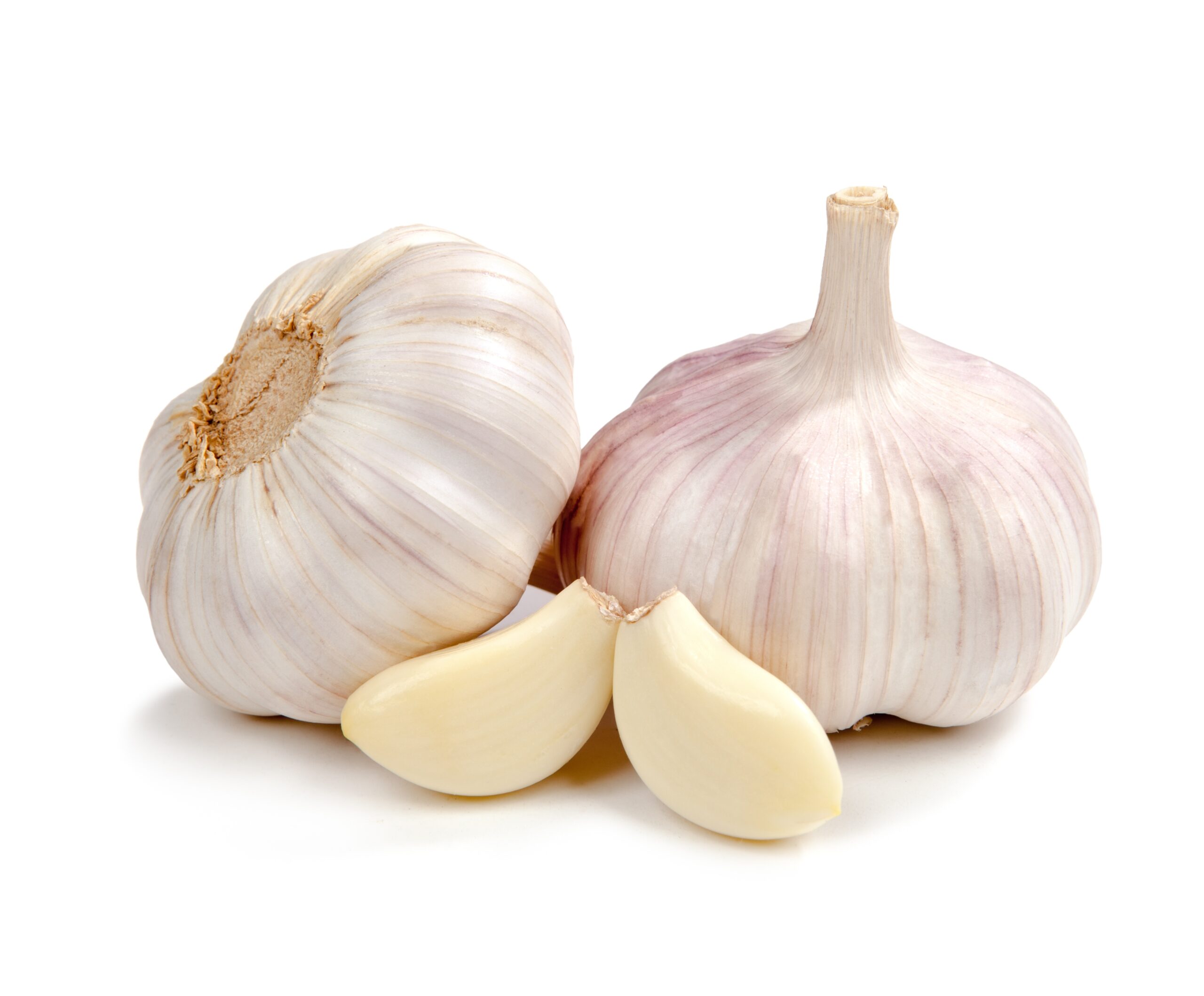 garlic reduces risk of gastric cancer