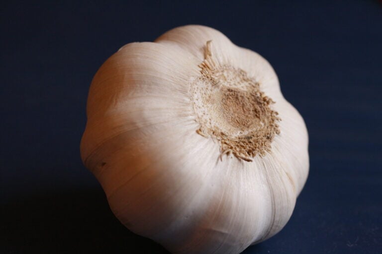 garlic prevents gastric (stomach) and colorectal cancers
