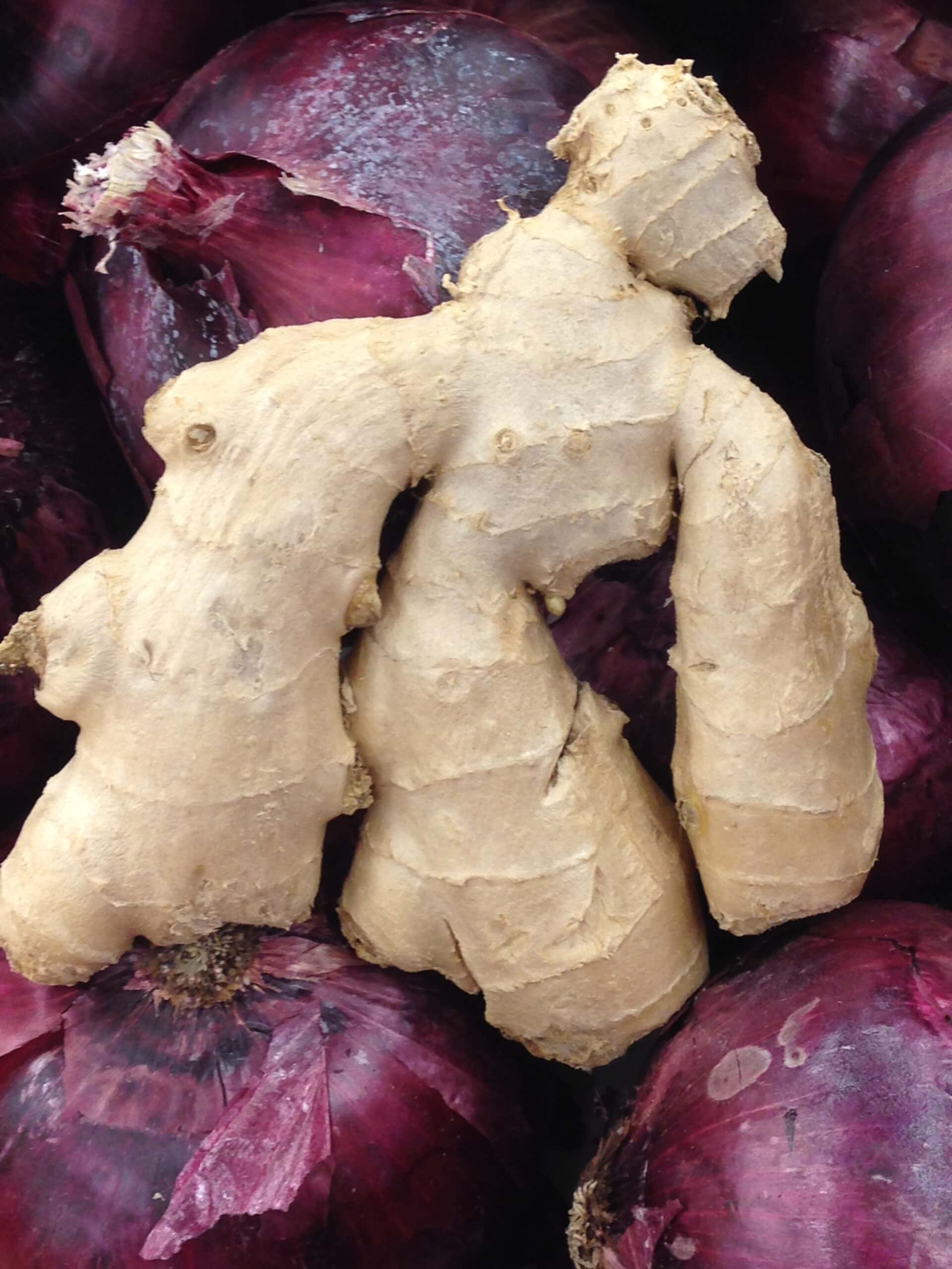 photo by Ted Snider ginger improves pain and quality of live of rheumatoid arthritis