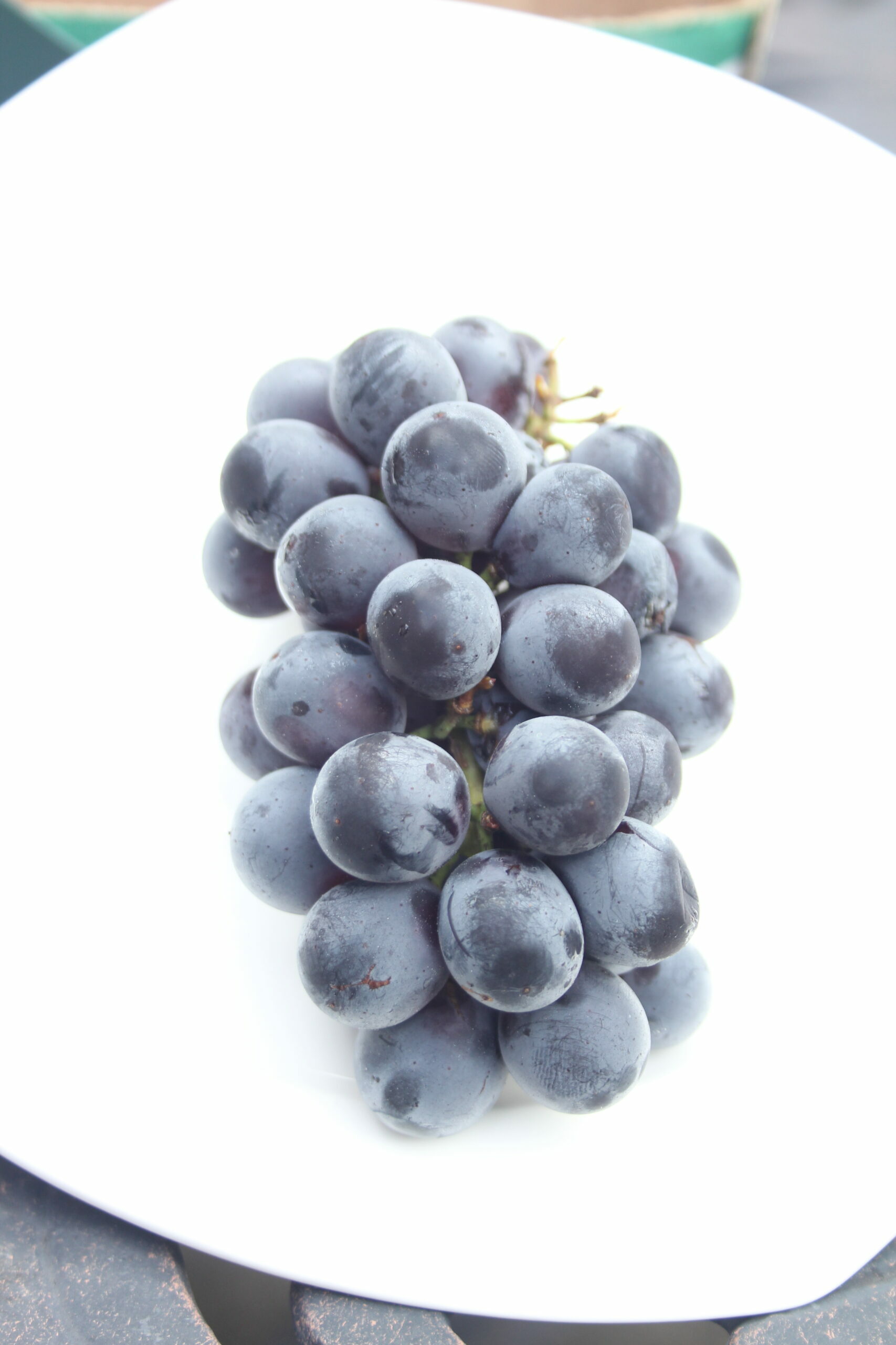 blueberry and grape polyphenols improve cognition, memory and attention in students