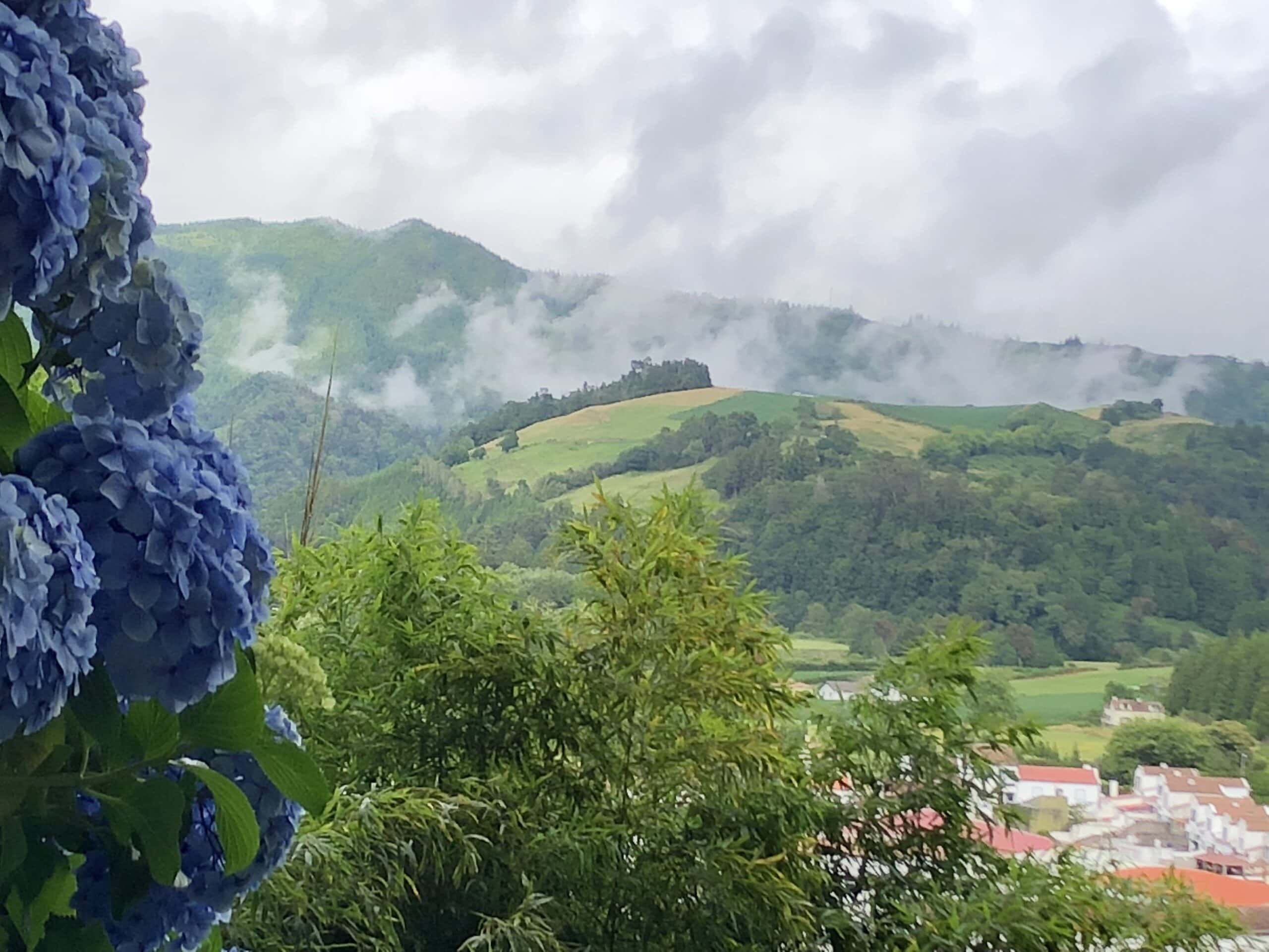 hydrangea extract reduces wrinkles