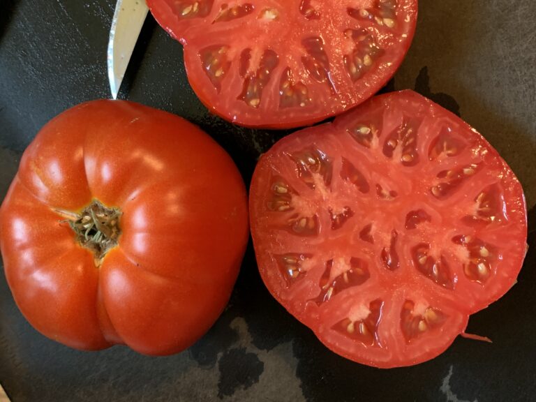 lycopene prevents osteoporosis and hip fracture