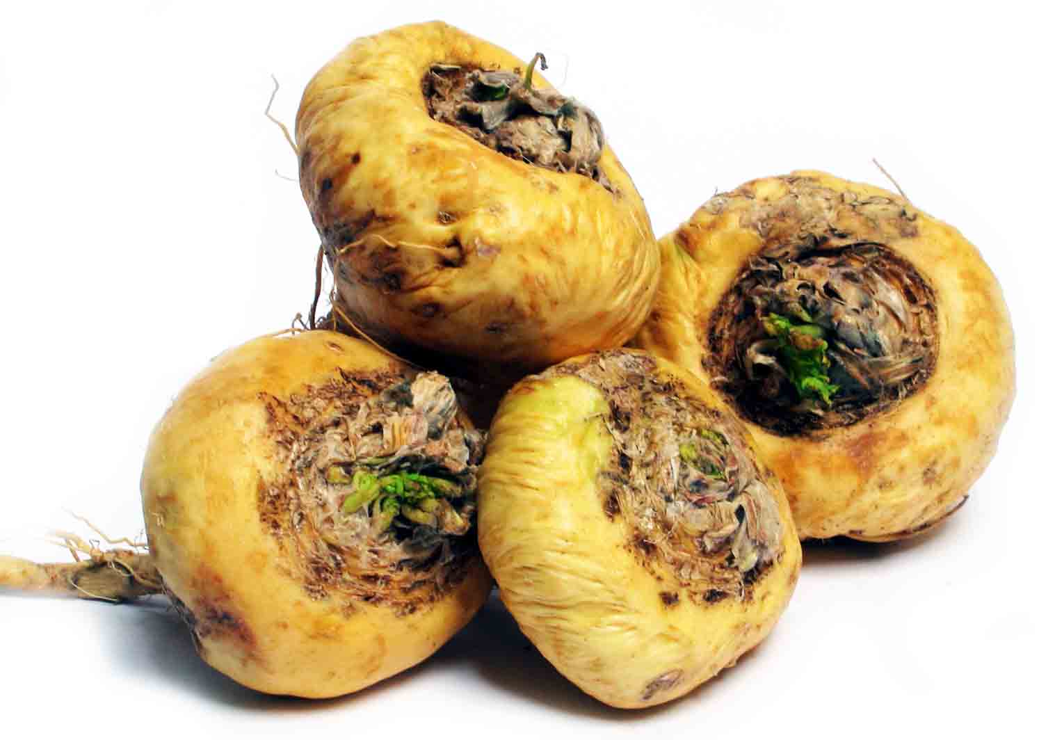 maca helps women with antidepressant induced sexual dysfunction