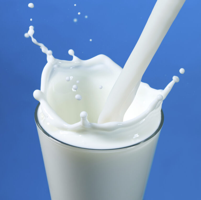 milk does not build bone