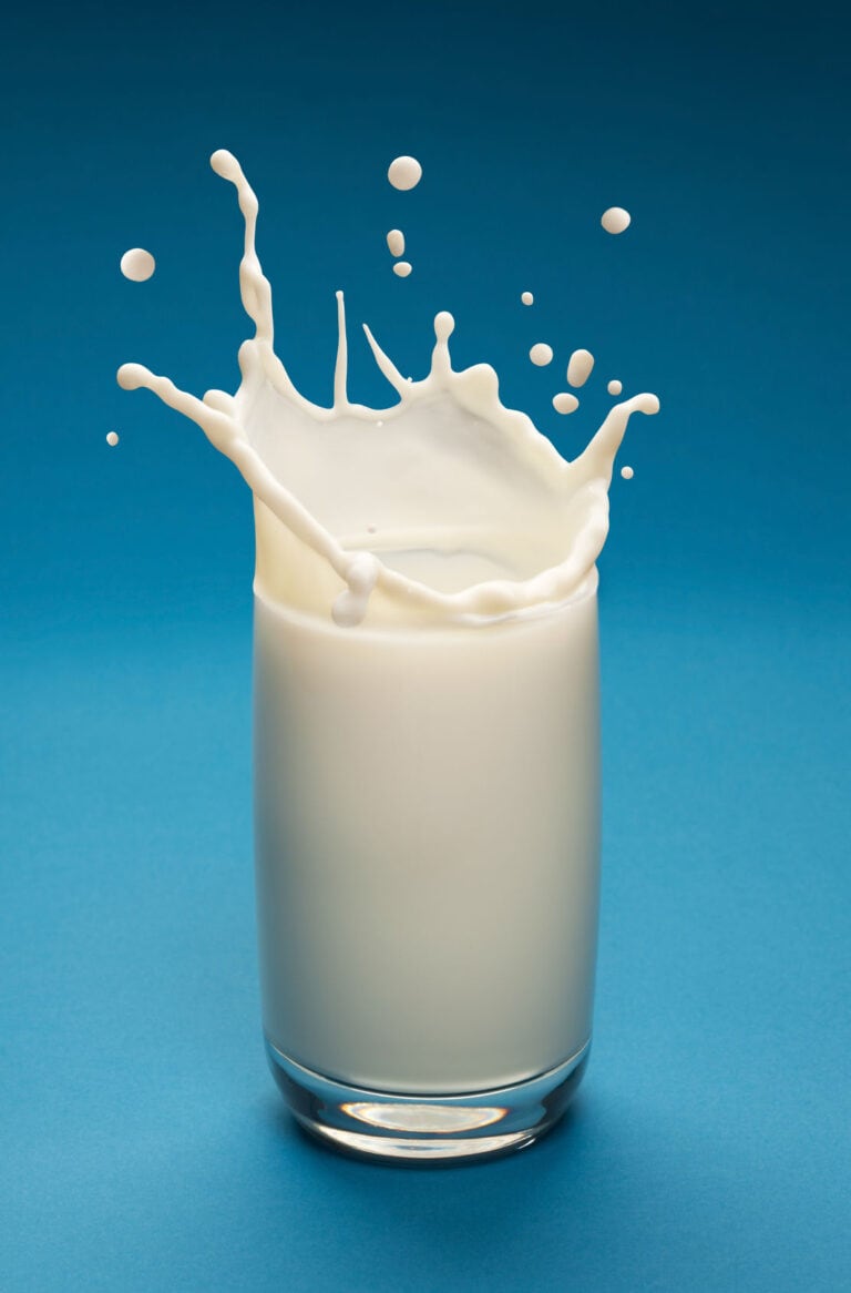 milk increases risk of breast cancer