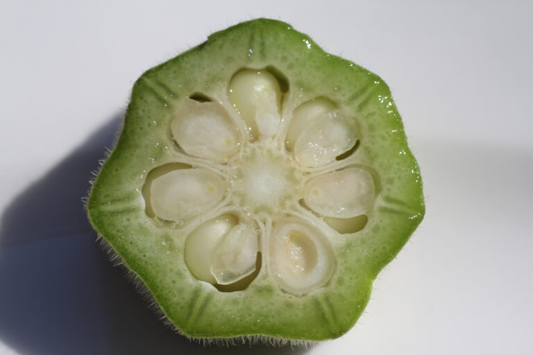 Treating Diabetes with Okra