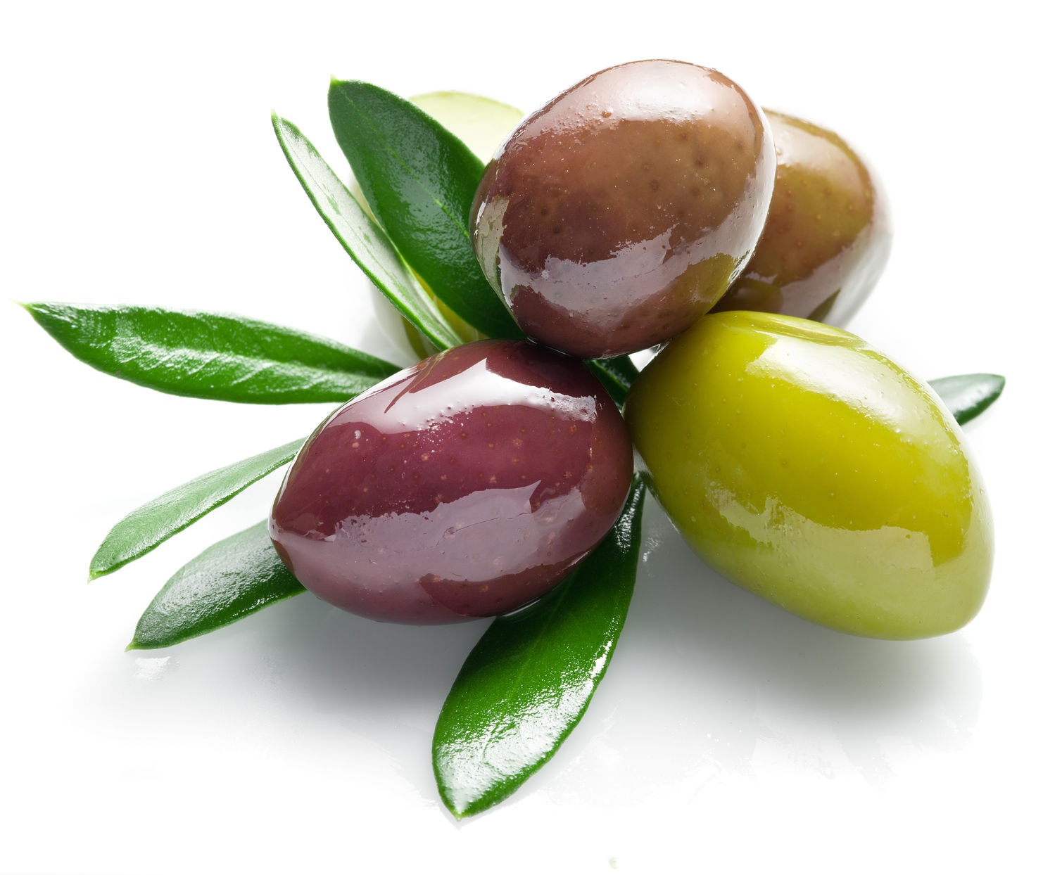 olive leaf extract helps treat COVID and shortens hospitalization and 