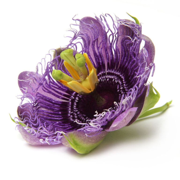 passionflower improves insomnia and helps you sleep