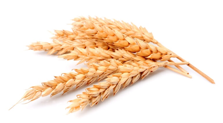 people with celiac disease on a gluten-free diet are still eating gluten