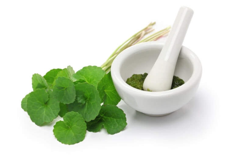 pine bark extract and gotu kola help lung disease including chronic lung disease caused by COVID-19