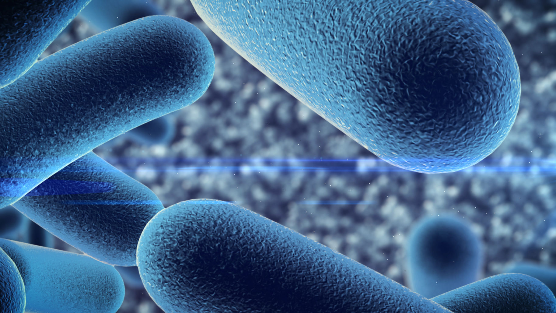 Probiotics, COVID & the Risk of Dying
