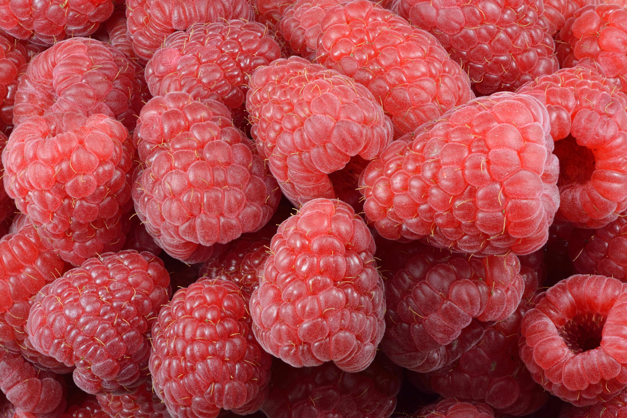 Surprising Blood Sugar & Cognitive Benefits With Raspberries