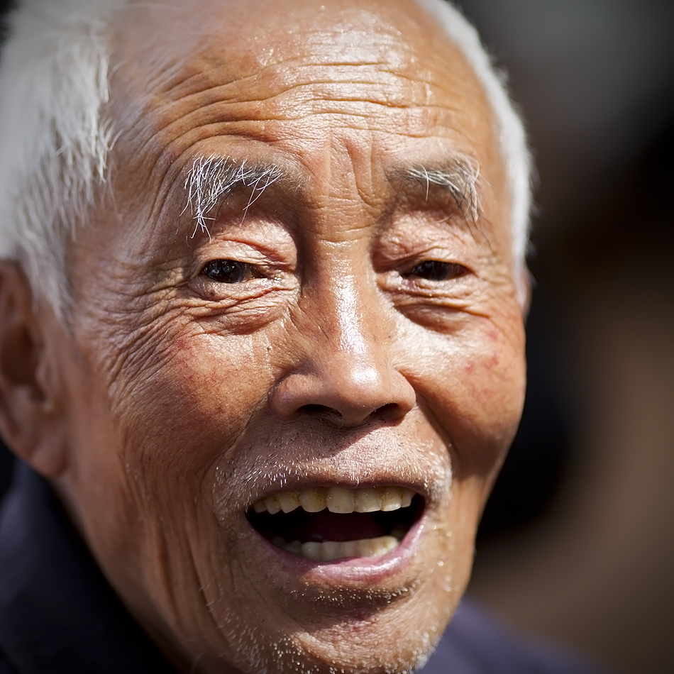 red yeast rice olive metabolic syndrome