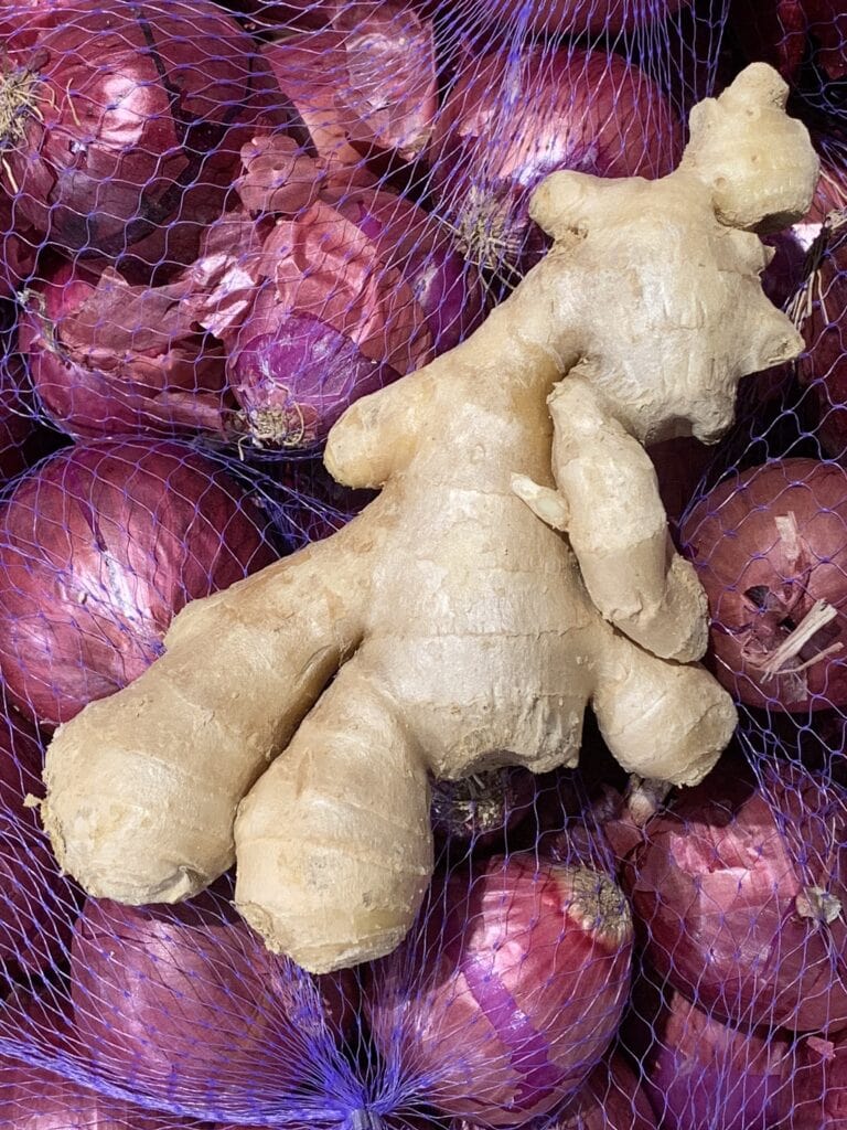 review of 109 controlled studies proves ginger helps nausea, vomiting, arthritis, migraine, diabetes, obesity, asthma and more