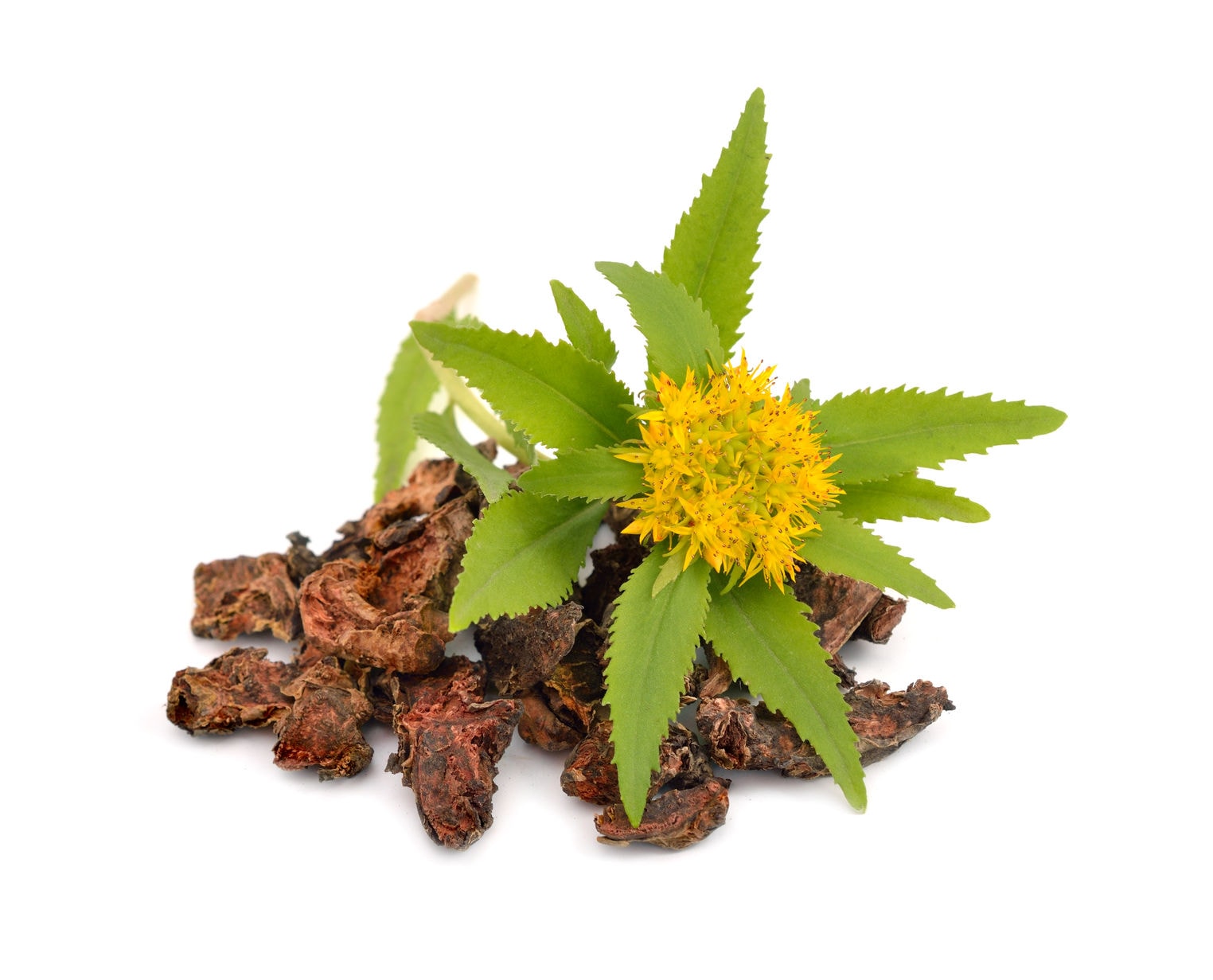 image 123RF.com adding rhodiola significantly improves antidepressant effect of sertraline (Zoloft)