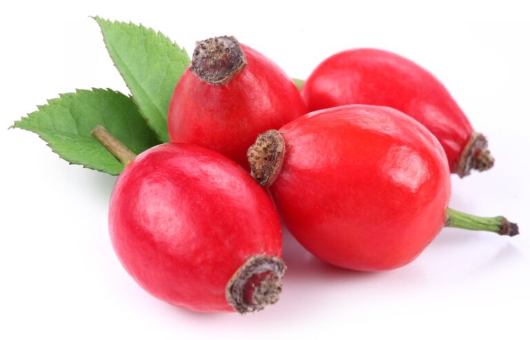 rose hips benefits rheumatoid and ostearthritis