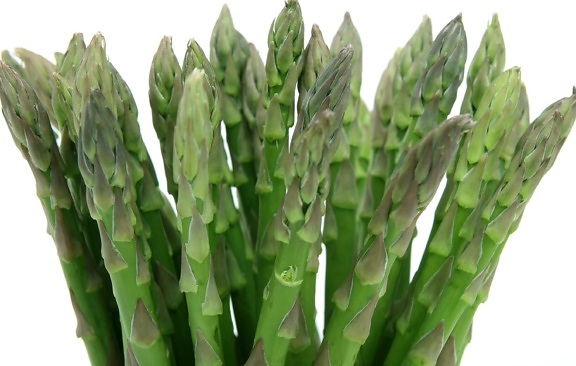 Asparagus for Menopause? The Evidence Mounts.