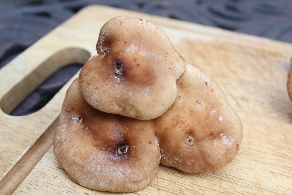 Most Delicious Way to Combat Cancer Shiitake Mushroom Soup The