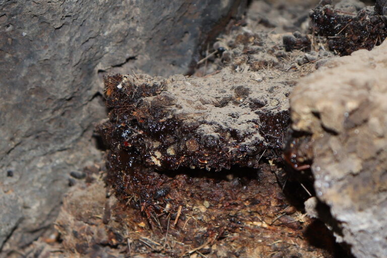 Strange New Help for Your Skin, Muscle and Bones.