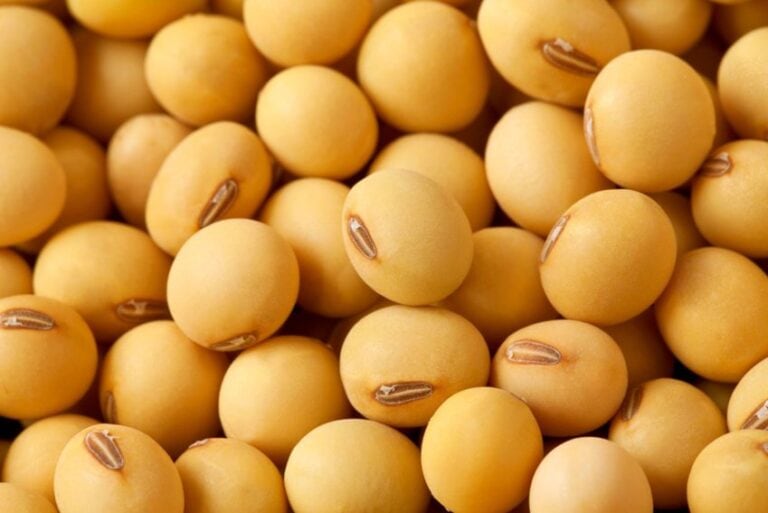 soy milk improves cholesterol, blood pressure and inflammation