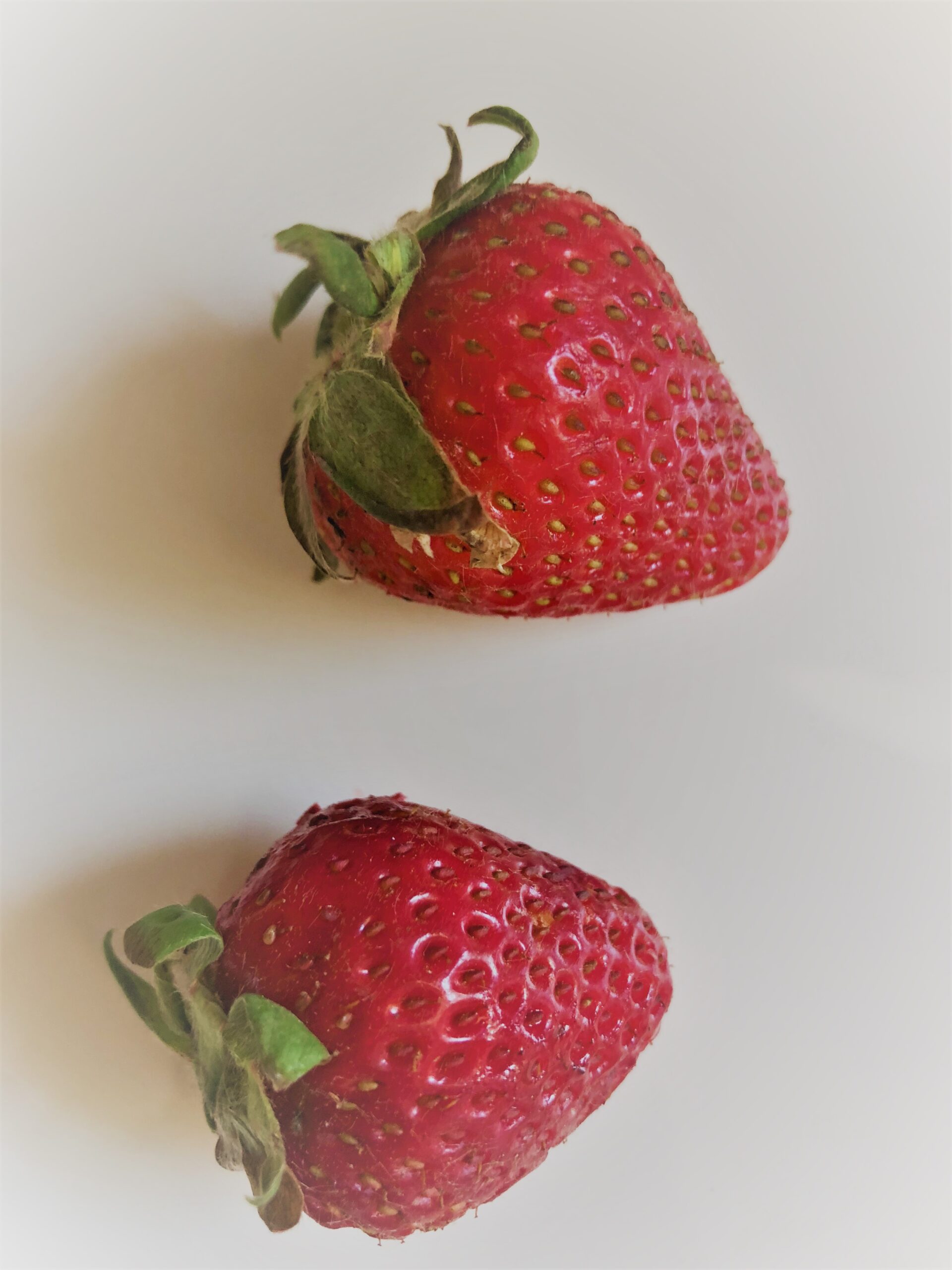 Not Just Delicious: New Research on the Health Benefits of Strawberries